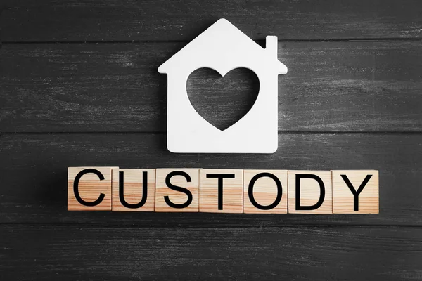 Слово CUSTODY з дерев'яних блоків — стокове фото