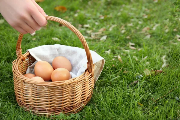 Hand holding wicker basket with eggs — Stock Photo, Image