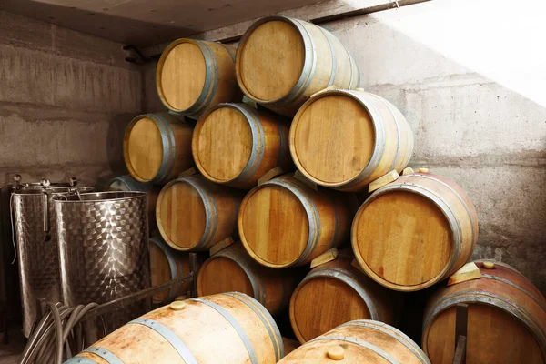 Barils en bois pour le vin — Photo