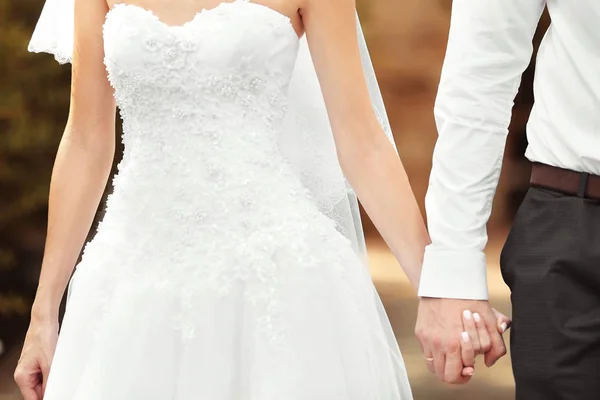 Vackra bruden och brudgummen — Stockfoto