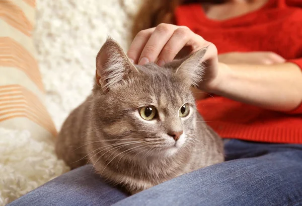 Kvinna anläggning söt katt — Stockfoto