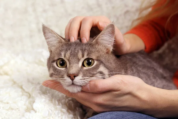 Mujer sosteniendo lindo gato — Foto de Stock