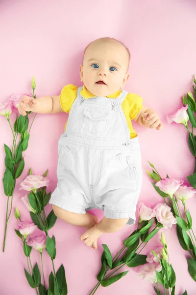 Bonito Bebê Eustoma Flores Fundo Rosa — Fotografia de Stock