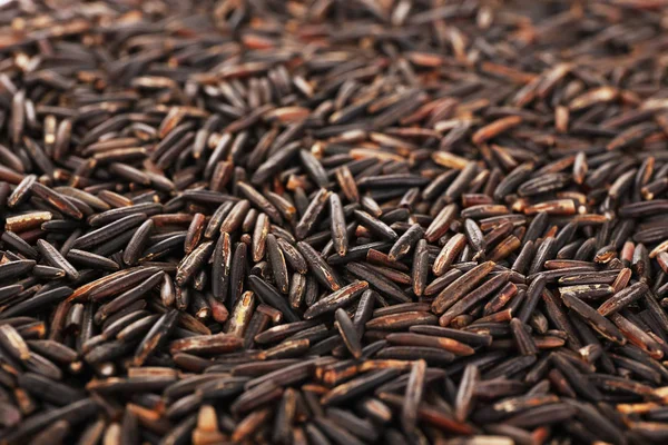 Dark wild rice — Stock Photo, Image