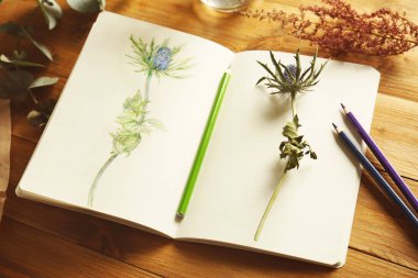 Collection of plants and sketchbook clipart