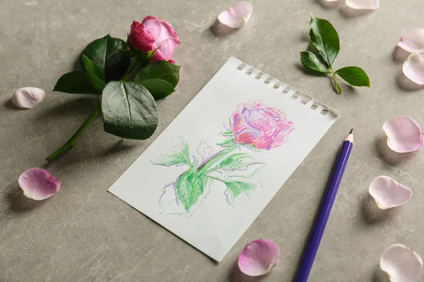 Rose ve kağıt çizim ile  