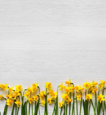 güzel çiçekler kenarlık