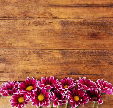 güzel çiçekler kenarlık