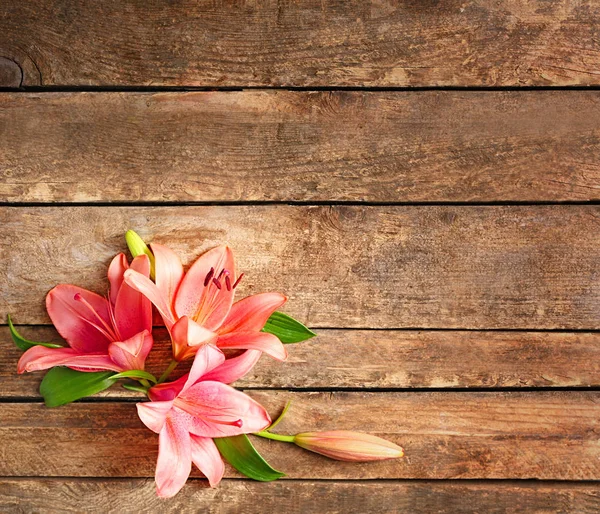 Hermosas flores frontera — Foto de Stock