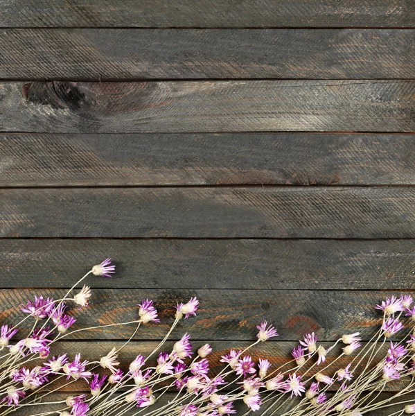 Beautiful flowers border — Stock Photo, Image