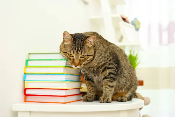 Серый кот на столе с книгами — стоковое фото