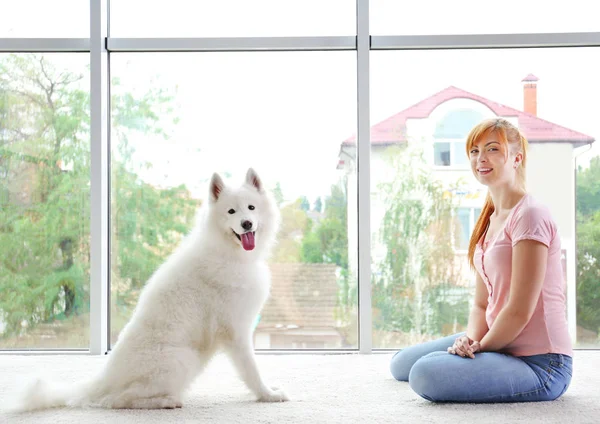 Flicka med söta samojedvalpar hund — Stockfoto