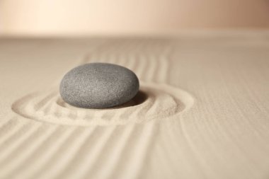 Japon Zen Bahçesi