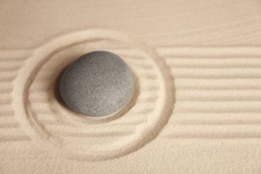 Japon Zen Bahçesi
