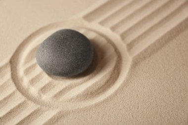 Japon Zen Bahçesi