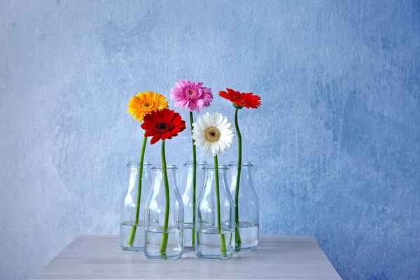 Flores coloridas en jarrones — Foto de Stock