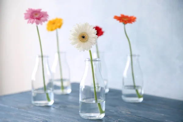 Kolorowe kwiaty w wazonach — Zdjęcie stockowe