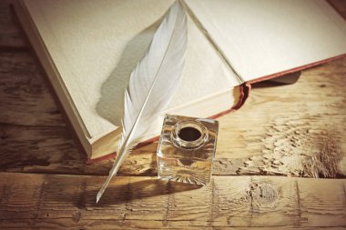 InkWell tüy kalemle 