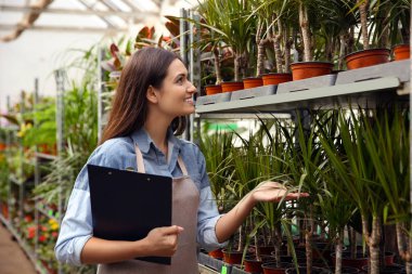 Genç ve güzel çiçekçi 