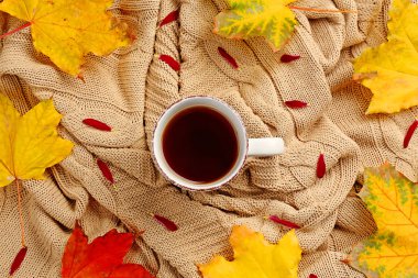 sonbahar yaprakları ile çay