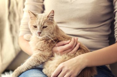 Onun sahibi ile şirin kedi 