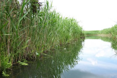 Güzel manzara. Gölde yansıyan gökyüzü