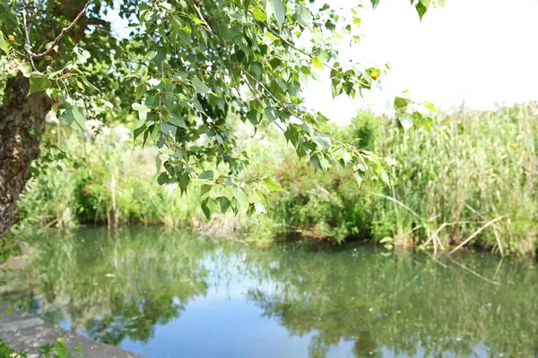 Cielo reflejado en el lago — Foto de Stock