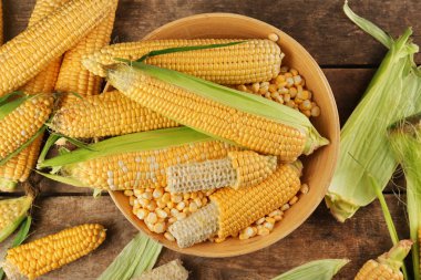 Corncobs ve tohum plaka 