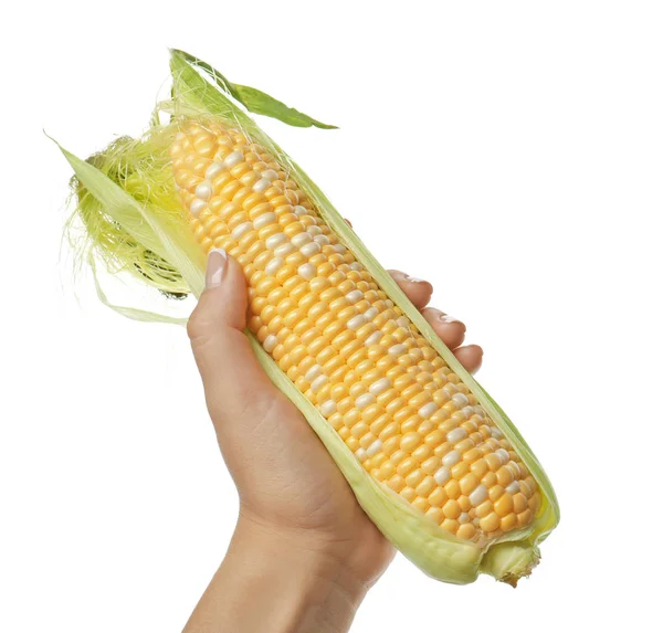 Female hand holding a corn — Stock Photo, Image