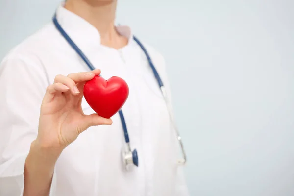 Doctor with stethoscope holding heart — Stock Photo, Image