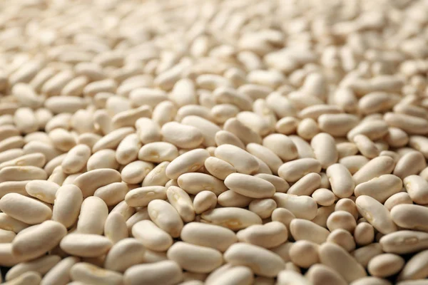 White beans texture — Stock Photo, Image