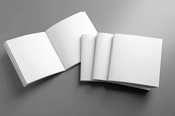 Empty blank brochures — Stock Photo, Image