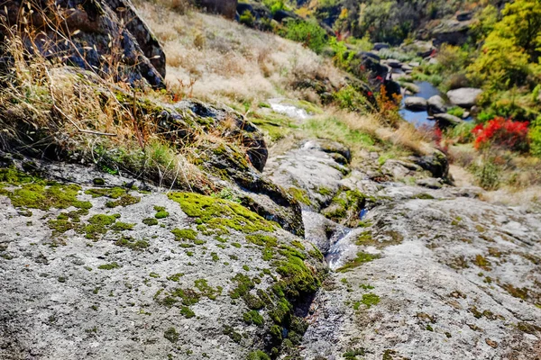 Зелений мох на пагорбах — стокове фото