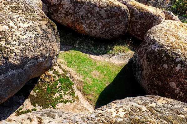 Mousse verte sur les collines — Photo