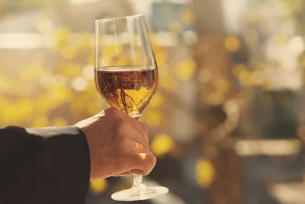 Male hand holding glass with wine — Stock Photo, Image