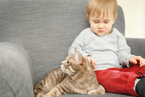 Söt katt närbild — Stockfoto