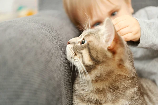Fechar-se de menino bonito com gato fofo na poltrona cinza — Fotografia de Stock