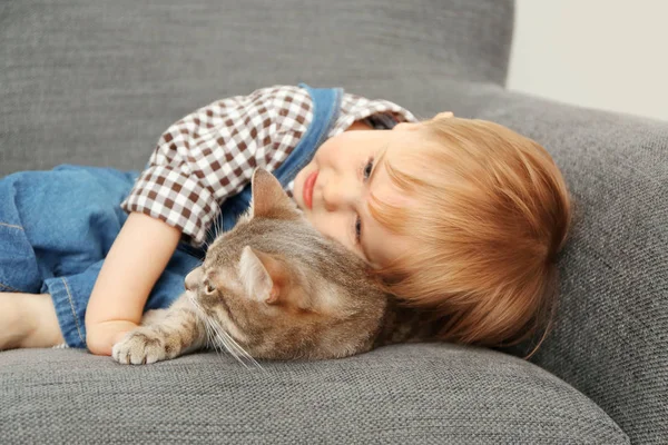 sevimli kedi closeup