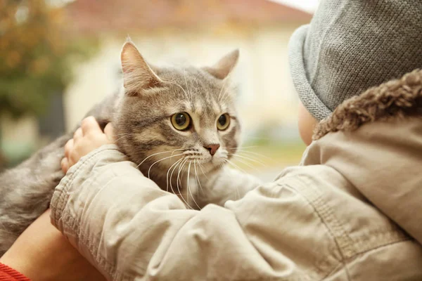 Kabarık kedi açık havada, closeup ile sevimli küçük çocuk
