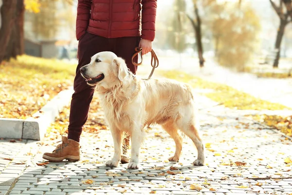 Uomo con divertente labrador retriever — Foto Stock