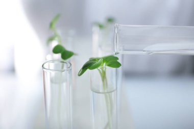 Üretim tesisi ile dökülen su testi 