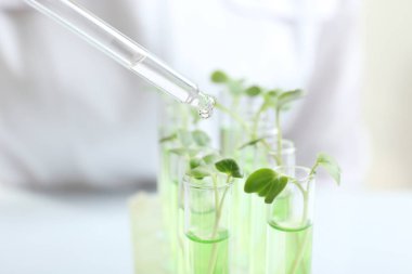 Damlama pipet tüp bırakın. 