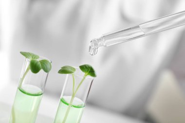 Damlama pipet tüp bırakın. 
