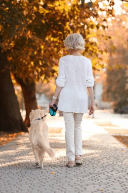 Üst düzey kadın ile köpek yürüyüş