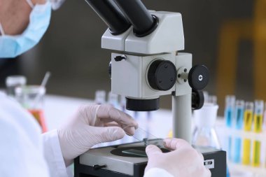 bilim adamı deneyler yapma