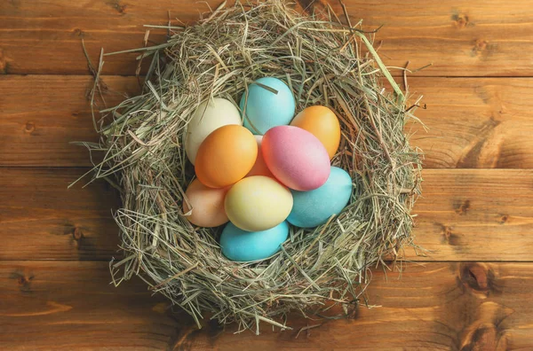Nido con coloridos huevos de Pascua — Foto de Stock