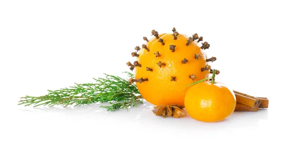 Citruses, 향신료와 침 엽 수 지점 — 스톡 사진