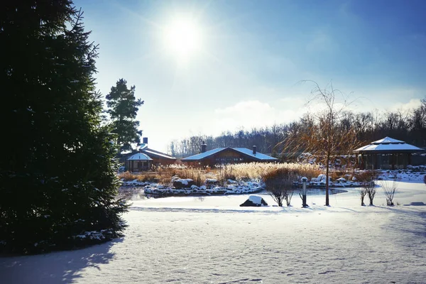 Hermoso Parque Invierno Día Soleado — Foto de Stock