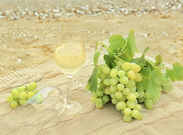 Vinho e uvas frescas — Fotografia de Stock