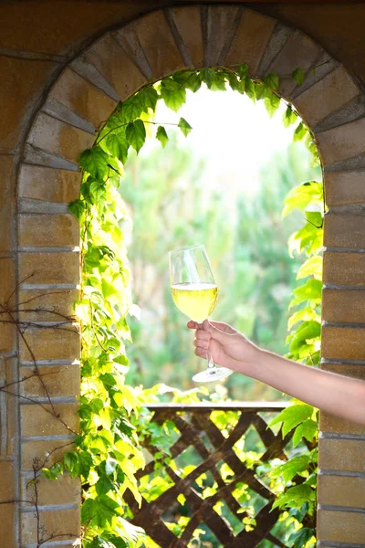 Hand met glas met wijn — Stockfoto